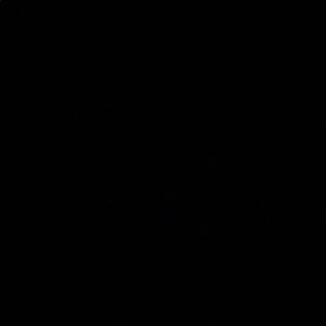 Meet your Posher, Chase